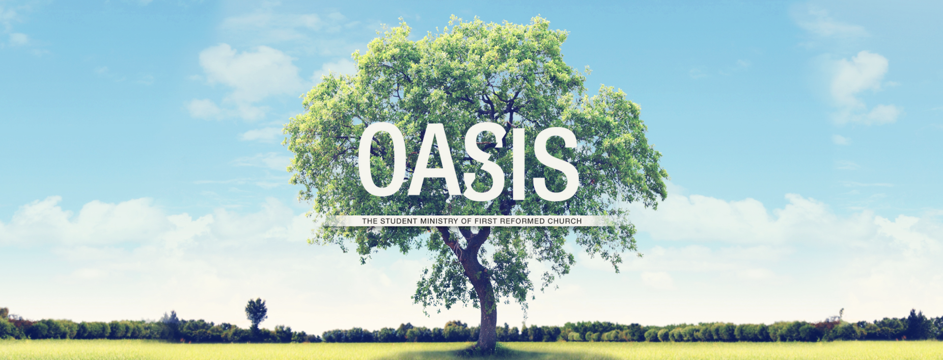 oasis.png